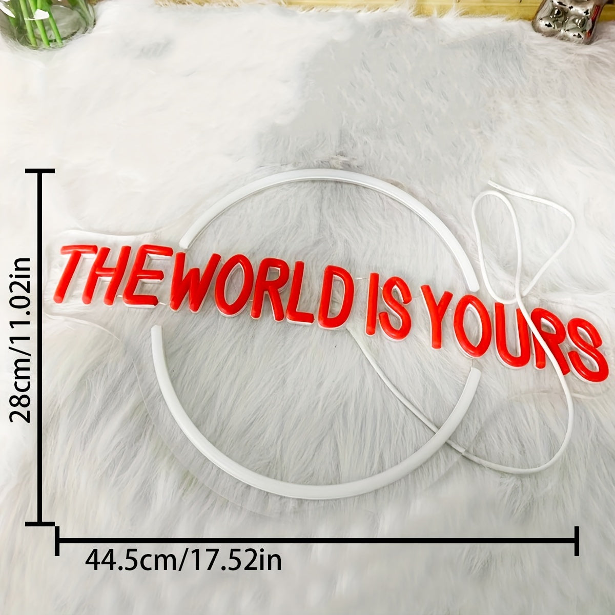 The World Is Yours Neon Sign - Metal Finish, Plastic Material, Non-Mounting Switch Control, Multipurpose USB Powered LED Light for Home, Bar, Wedding Decor